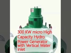 300 KW micro High Capacity Hydro Power Generator with Vertical Water Inlet