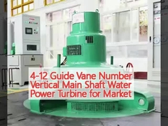 4-12 Guide Vane Number Vertical Main Shaft Water Power Turbine for Market