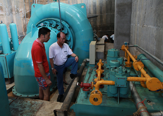 Vertical Brushless Hydro Energy Generation System with Brushless Generator