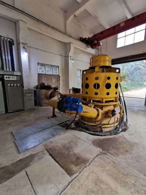 Carbon Steel Housing Water Turbine Vertical Shaft for Heavy Machinery