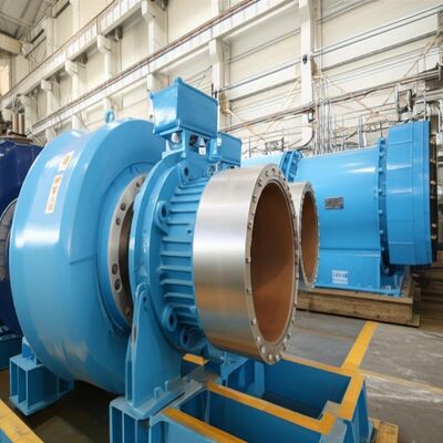 Customized Francis Hydro Turbine with Brushless Excitation and Copper-core Cables for Hydropower Stations