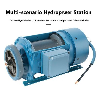 Multi-scenario Custom Hydro Units Francis Hydro Turbine with Brushless Excitation & Copper-core Cables