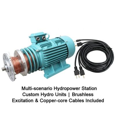 Multi-scenario Custom Hydro Units Pelton Hydro Turbine with Brushless Excitation and Copper-core Cables