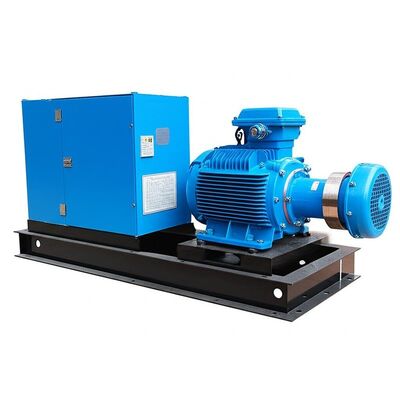 Customized Hydro Equipment Pelton Hydro Turbine with Brushless Excitation and Copper-core Cables