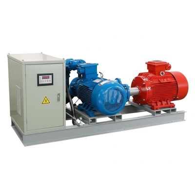 Customized Hydro Units with Brushless Excitation and Copper-core Cables for Multi-scenario Hydropower Stations
