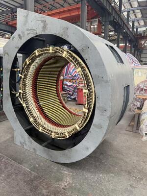 Custom Hydro Turbine Generator with Brushless Excitation